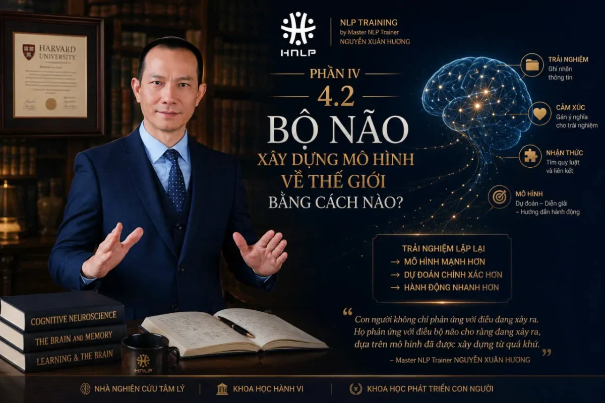 bộ não nhìn thấy mô hình mà nó đã xây dựng về thế giới