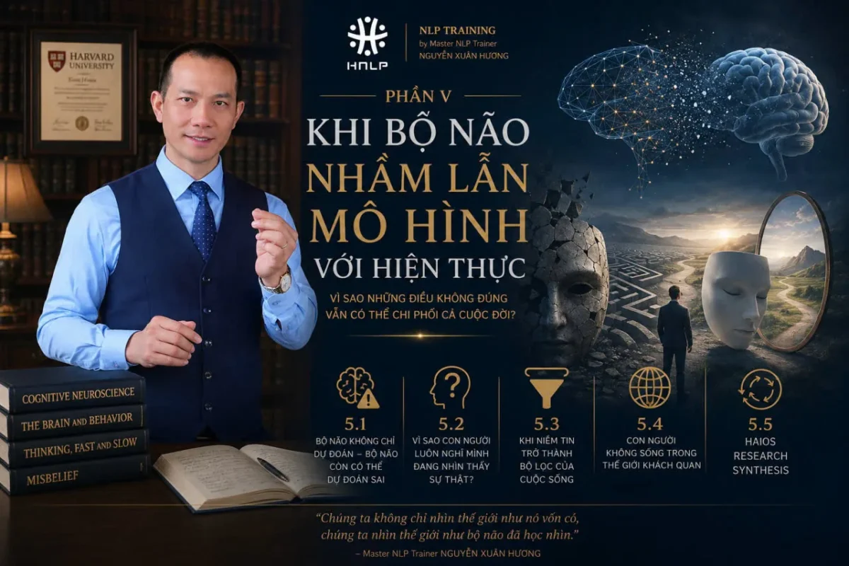 bộ não nhầm lẫn mô hình với hiện thực