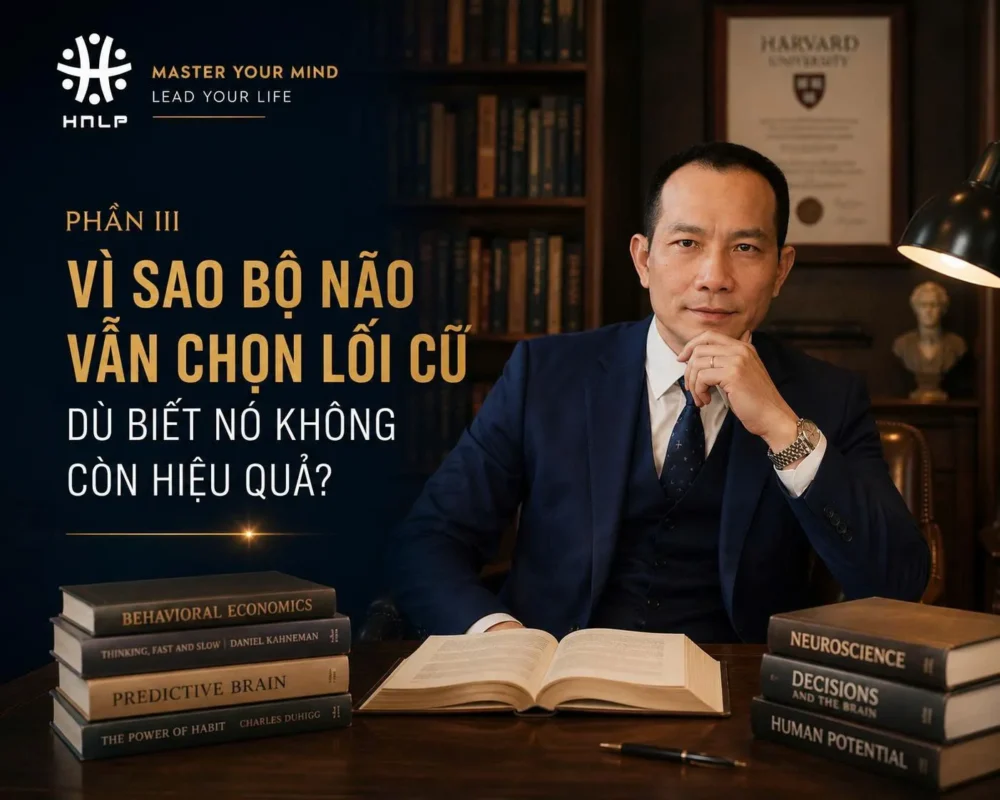 vì sao bộ não vẫn chọn lối cũ dù biết nó không còn hiệu quả